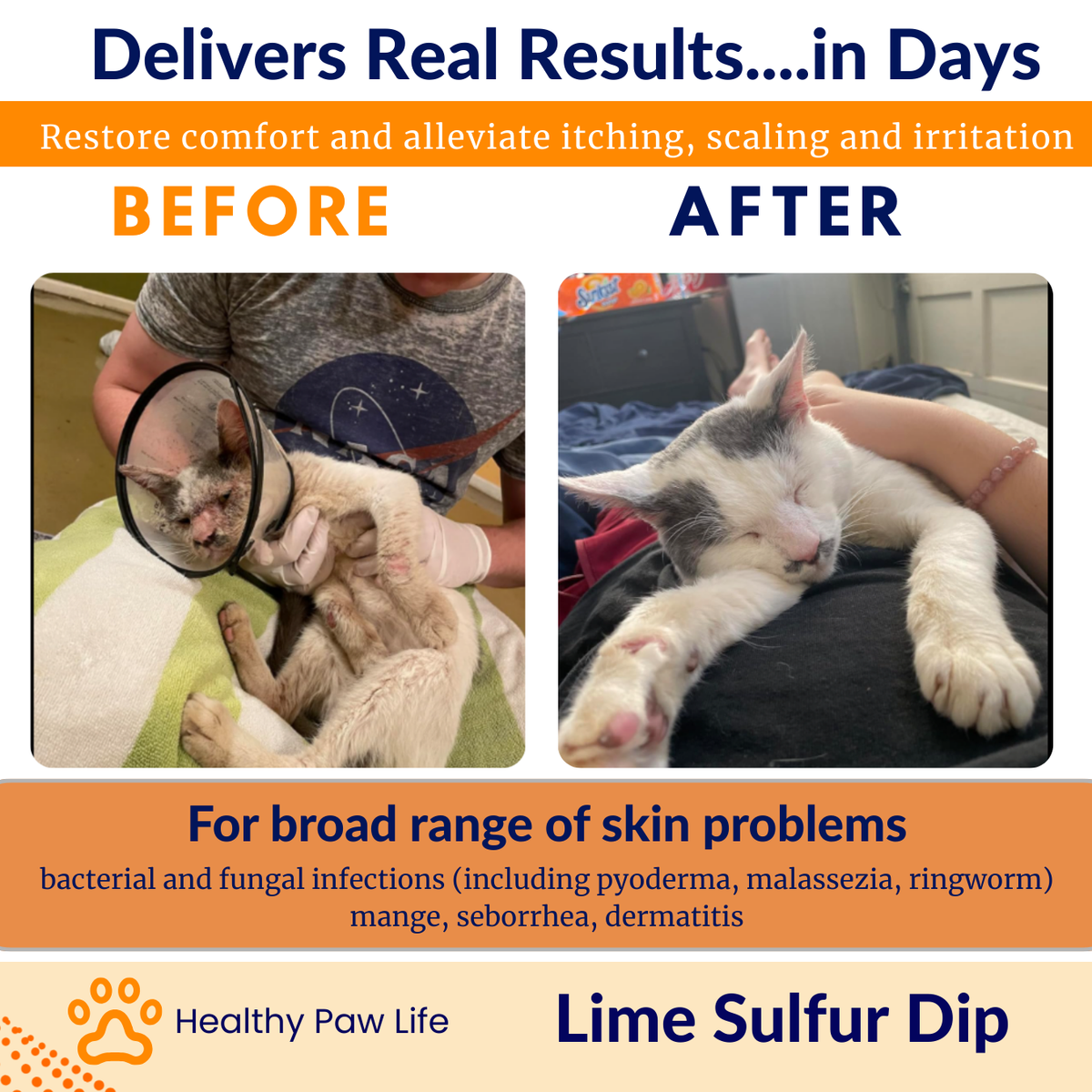 Lime Sulfur Dip – Concentrated Sulfur Solution for Itchy Skin, Mange, Ringworm & Dermatitis – Safe for Dogs, Cats, Horses, and Livestock Healthy Paw Life