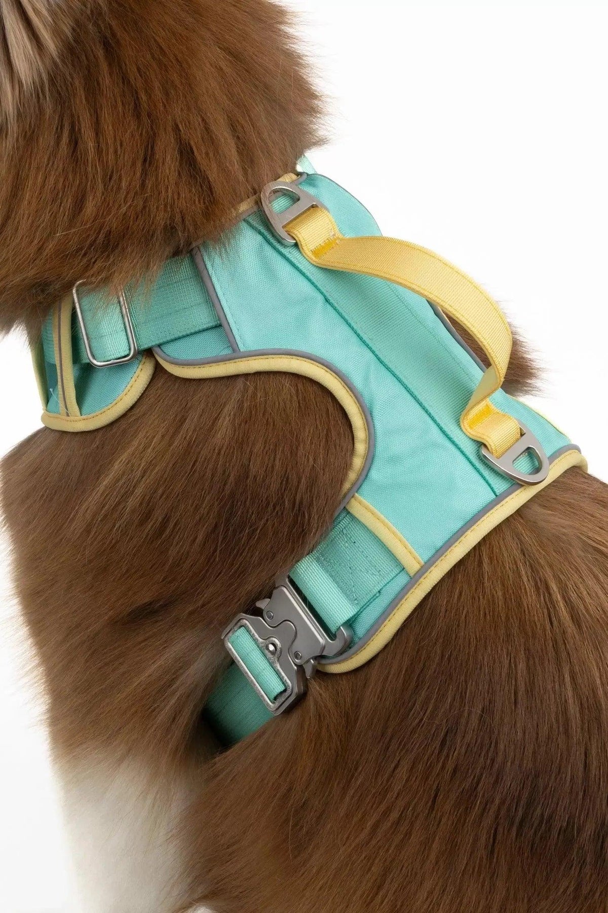 Island Vibes Ultimate Dog Harness Aria the Fox