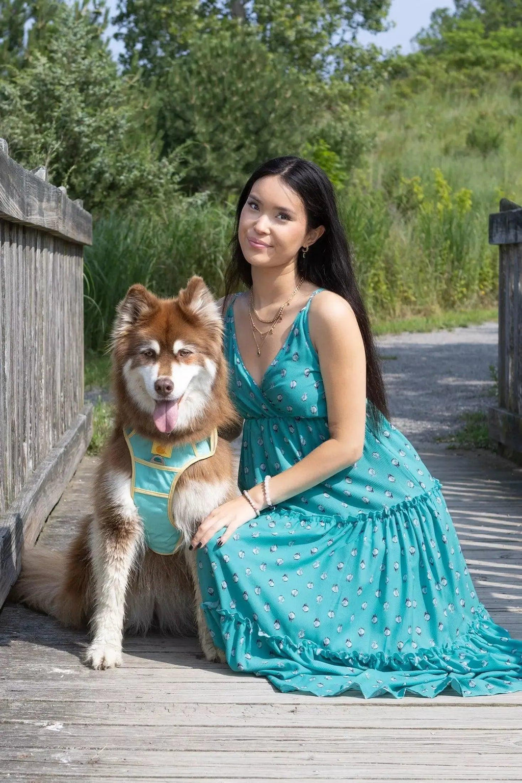 Island Vibes Ultimate Dog Harness Aria the Fox