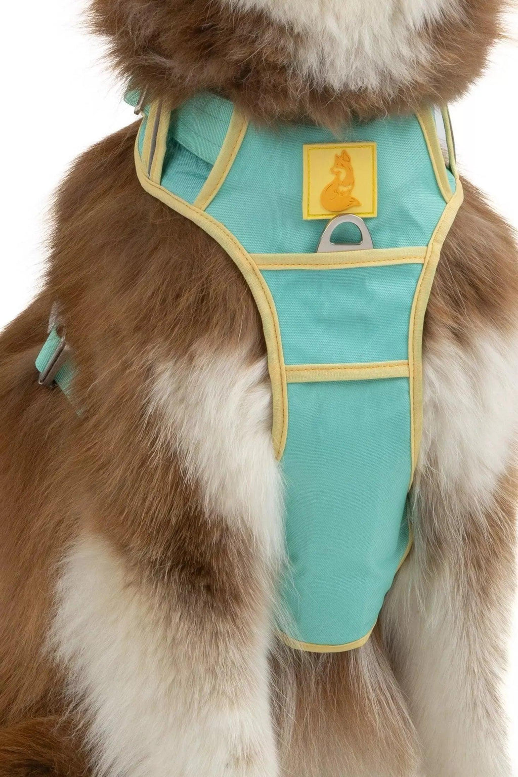 Island Vibes Ultimate Dog Harness Aria the Fox