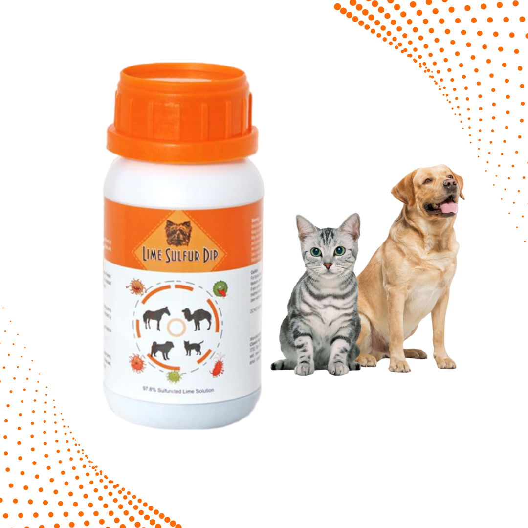Lime Sulfur Dip – Concentrated Sulfur Solution for Itchy Skin, Mange, Ringworm & Dermatitis – Safe for Dogs, Cats, Horses, and Livestock Healthy Paw Life